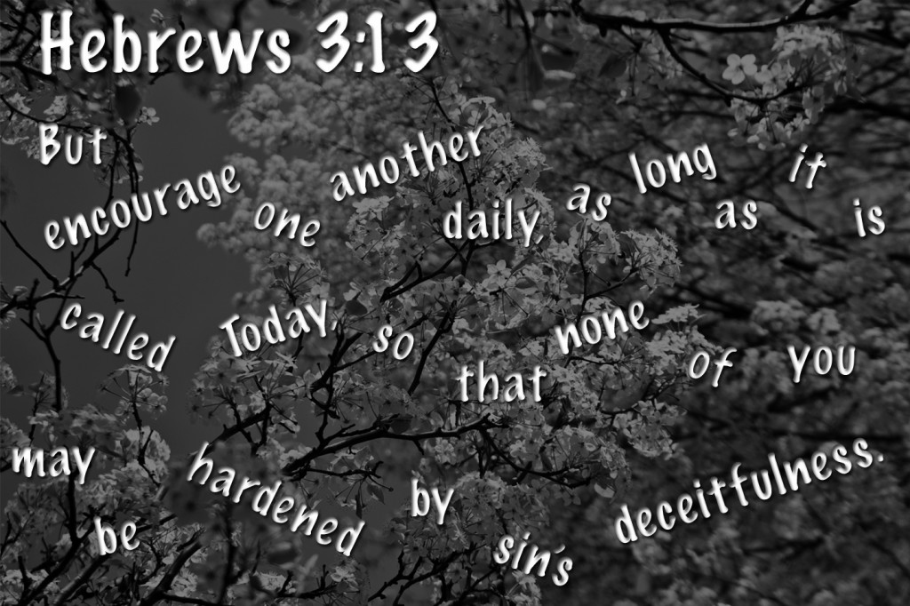 Hebrews 3-13